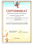 Сертификат Филин Д в номинации “Буквица”