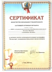 Сертификат Илюхин Н в номинации “Буквица”